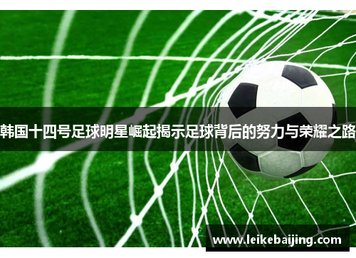 韩国十四号足球明星崛起揭示足球背后的努力与荣耀之路