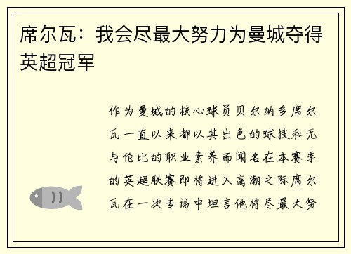 席尔瓦：我会尽最大努力为曼城夺得英超冠军